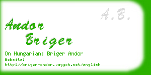 andor briger business card